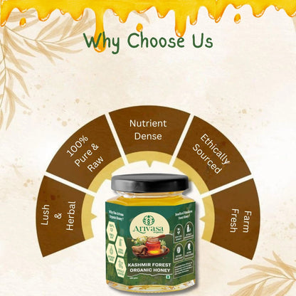Organic Kashmir Forest Honey | Pure & NMR Lab - Tested - Arivasa Organics - 100 gms - 