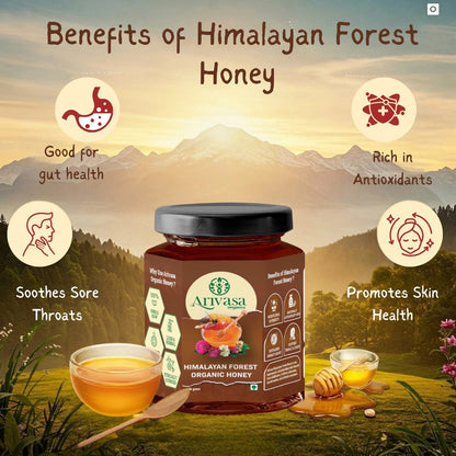 Organic Himalayan Forest Honey | Pure, Natural & NMR Lab - Tested - Arivasa Organics - 100 gms - 