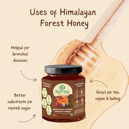Organic Himalayan Forest Honey | Pure, Natural & NMR Lab - Tested - Arivasa Organics - 100 gms - 