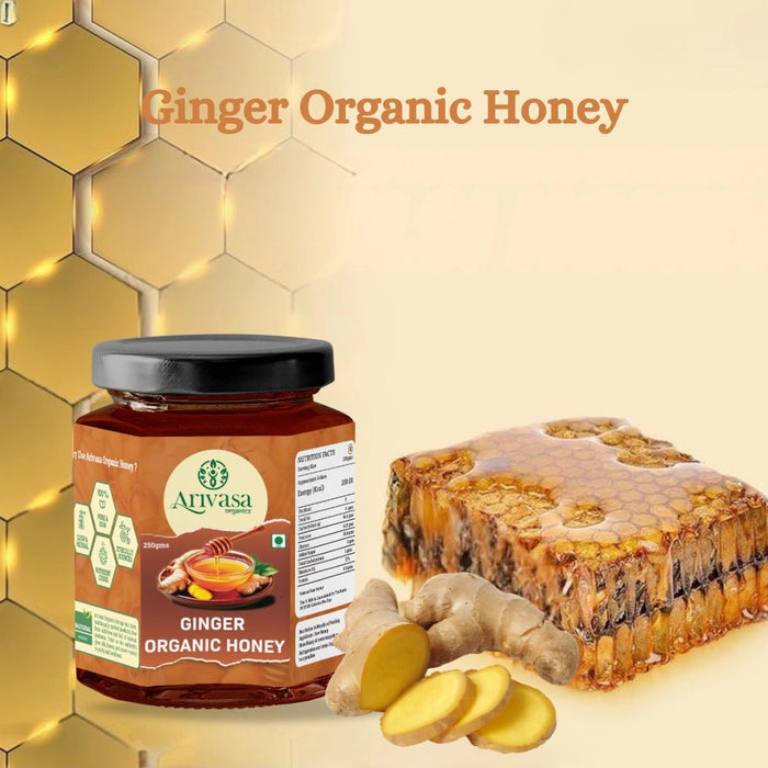 Organic Ginger Honey | Pure, Natural & NMR Lab-Tested – 250 gms (hover)