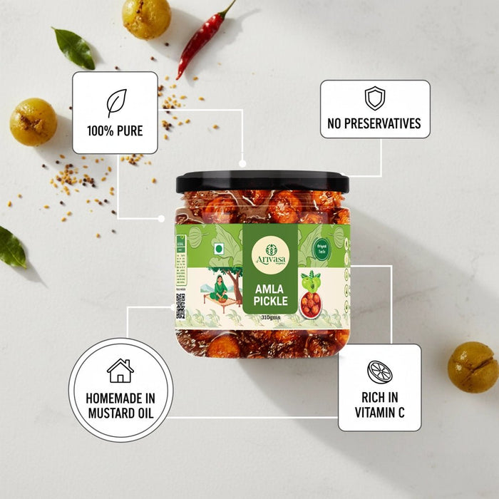 Amla Achar | Handmade Indian Gooseberry Pickle | Traditional Taste – 310 Gms (hover)