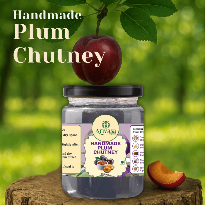 Handmade Plum Chutney | Himachal Fresh Fruit, Women-Crafted – 225 gms (hover)