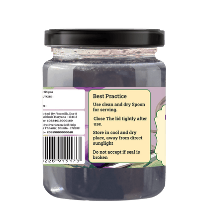 HANDMADE PLUM CHUTNEY - My Store - 225 gms - 