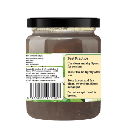 HANDMADE KIWI CHUTNEY - My Store - 225 gms - 