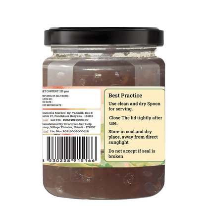 HANDMADE APPLE CHUTNEY - My Store - 225 gms - 