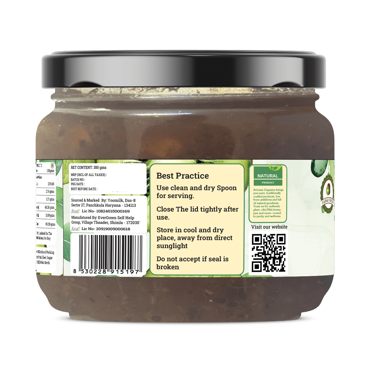 HANDMADE KIWI CHUTNEY - My Store - 350 gms - 